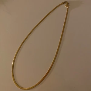 Edblad guld halsband ormlänk - Ormlänk halsband från Edblad, oanvänt! I förgyllt stål, nickel- och rostfritt. Köpt för 400kr. 