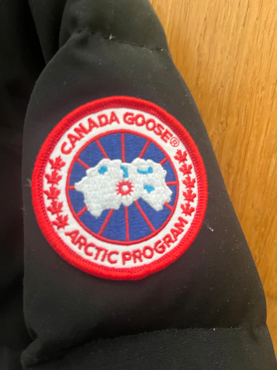 Canada goose Macmillian - 1