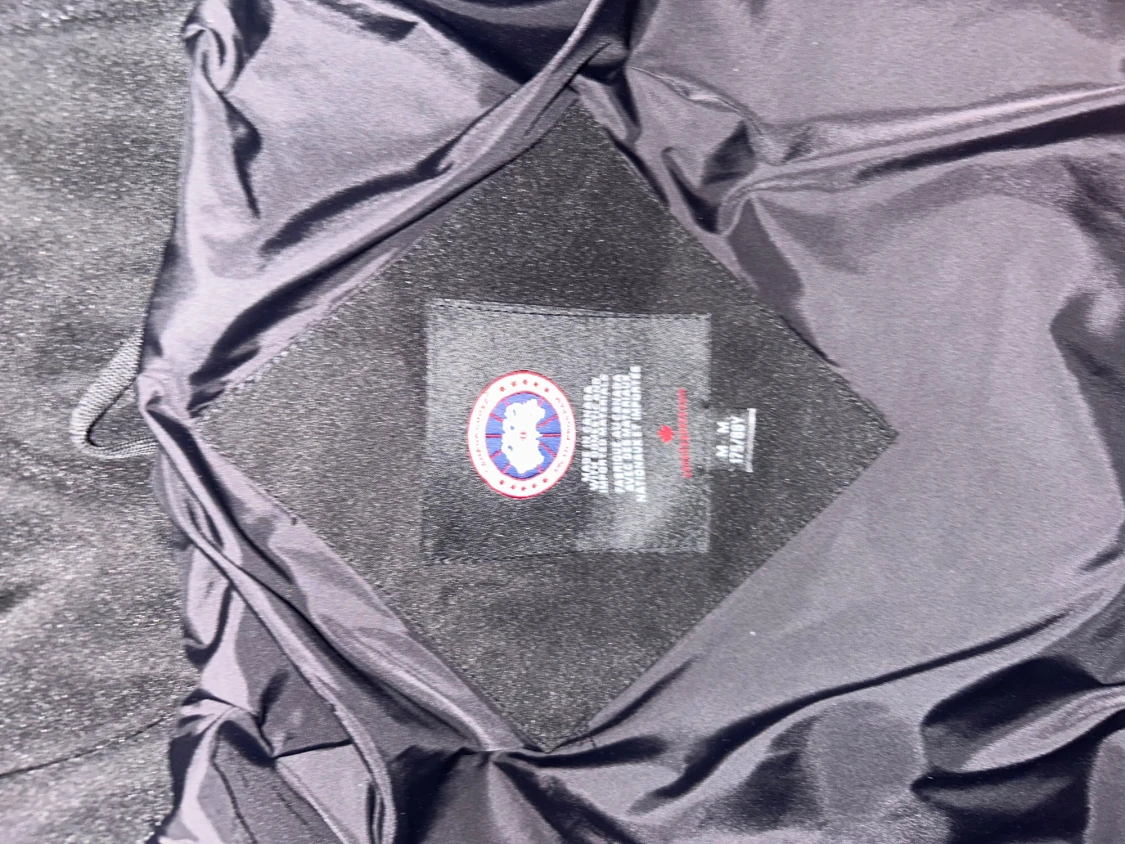 Wyndham canada goose - 2