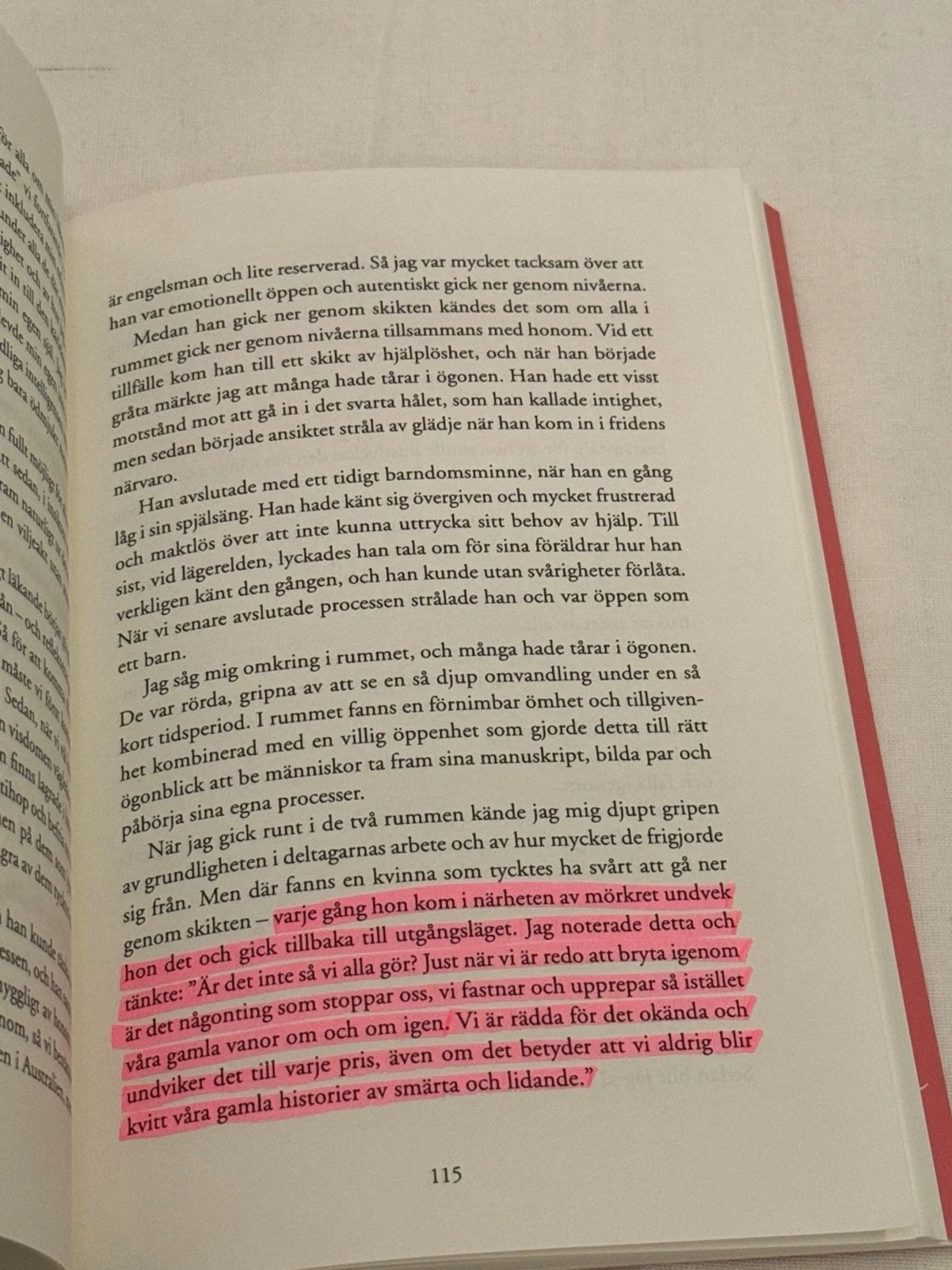 Bok: Resan av Brandon Bays på svenska  - 5