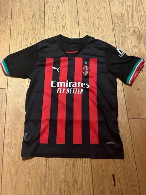 AC Milan matchtröja Puma svart/röd - AC Milan matchtröja från Puma i svart med röda ränder och vita detaljer. Tröjan har klubbmärke, sponsortryck och nummer 9 med namnet Asllani på ryggen. Ärmsluten har italienska flaggans färger. Tillverkad i funktionsmaterial.