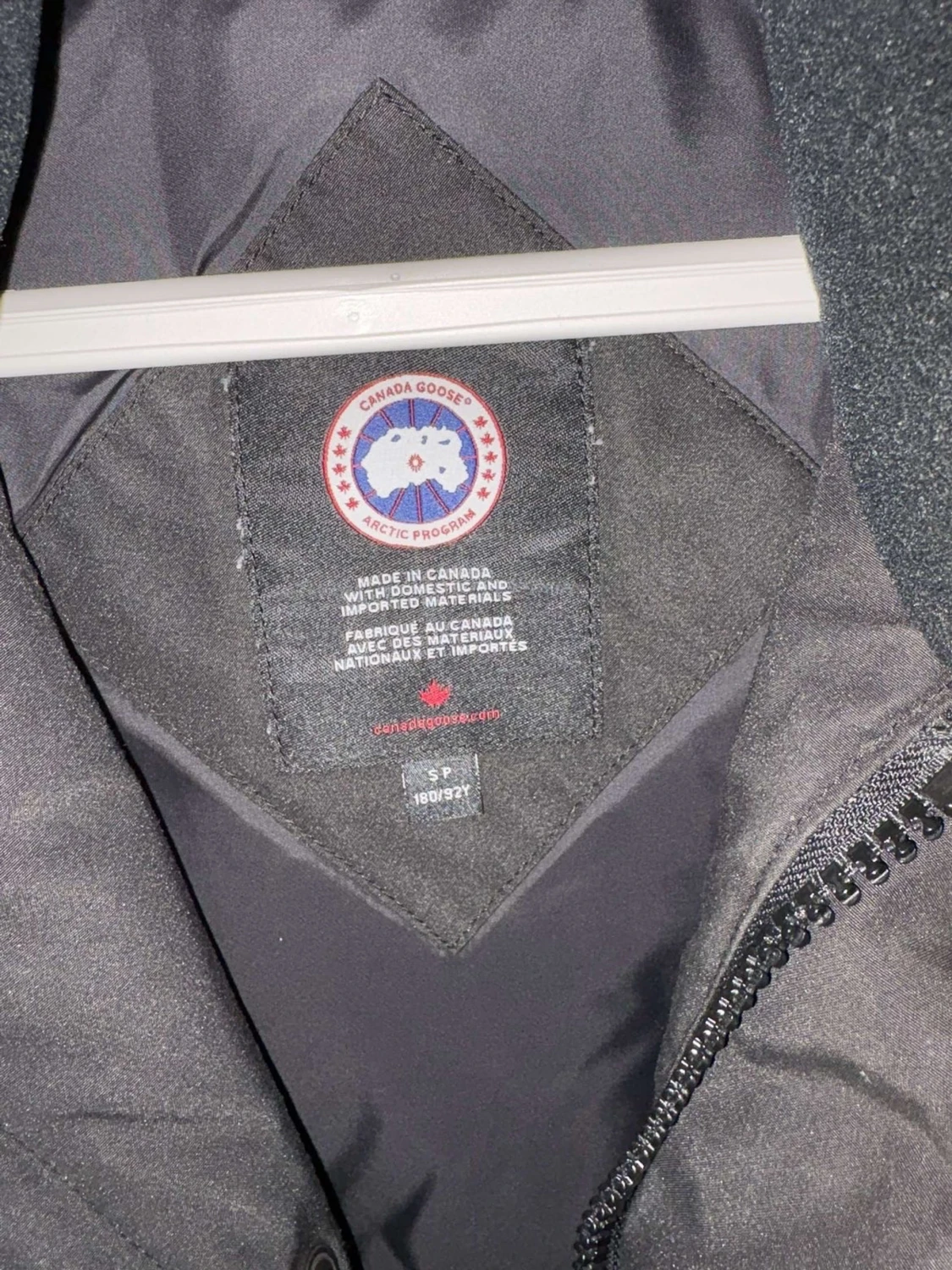 Canada goose - 2