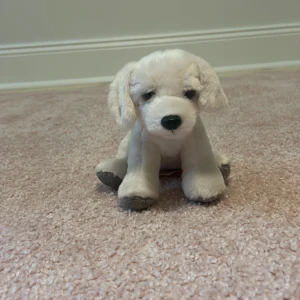 Liten golden retriver gosedjur - Litet, gulligt goldenretriver hund gosedjur med mjukt material, nytt skick, aldrig använt. Perfekt för någon som behöver en liten hundkompis kanske i bilen eller på flygplanet, en ny kompis!