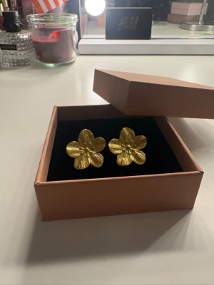 Örhängen  - Säljer ett par guldörhängen som aldrig använts. Minns ej vart jag fått dem ifrån.