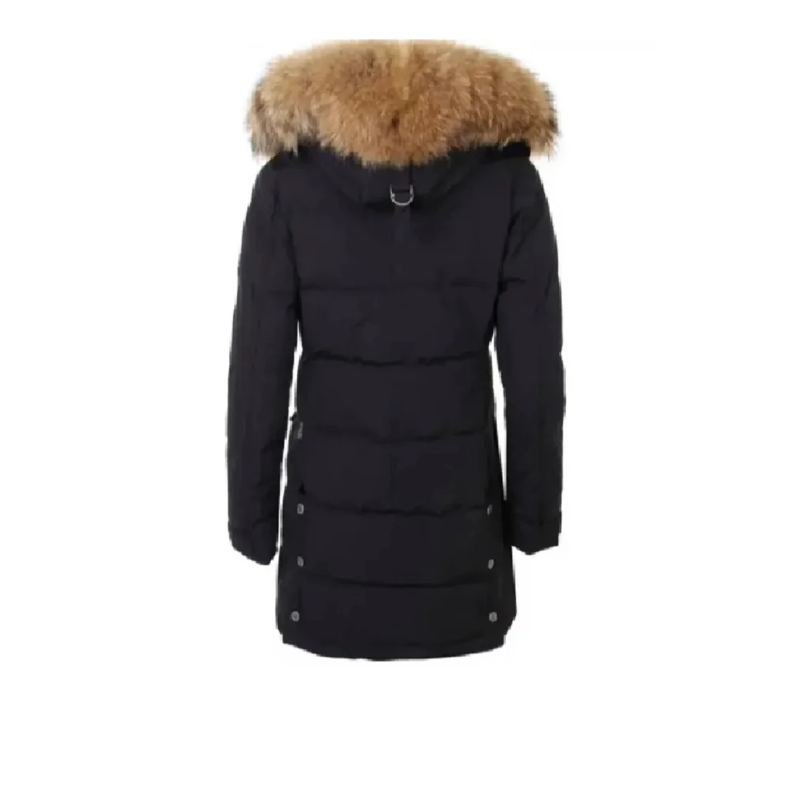 Hollies/Hollister - 1