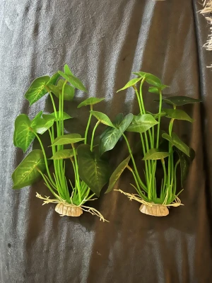 Konstgjorda växter - SÄLJS I PAR ELLER STYCK. Två konstgjorda växter med gröna blad och rötter. Dessa säljer jag eftersom jag köpte för många av dem. De är cirka 10+ cm och är fina för ett akvarium! Mina fiskar älskar dessa och känner knappt skillnaden. Ordinarie pris är 59kr styck, priset kan vi även diskutera om! 