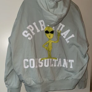 Hoodie  - Oversized mintgrön hoodie från weekday med tryck på ryggen 😍😍