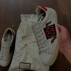 Gucci ace snake - Säljer ett par otroligt snygga skor från det exklusiva italienska märket Gucci! Skorna är i otroligt bra skick, skulle säga ungefär 9,5/10. Nypris ligger på över 9000 och kan gå ner i pris ännu mer vid snabb affär! Skriv gärna ifall det är några funderingar!