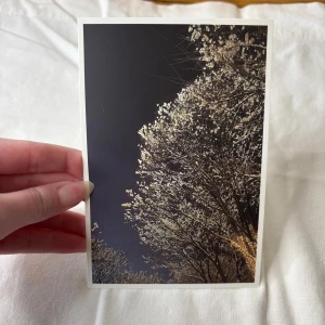 Twice Jihyo postcard  - Från Jihyo- Zone album