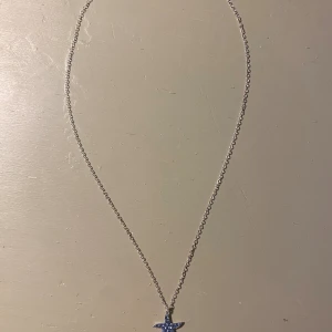 Äkta Silverhalsband med blå stjärnhänge - Ett tunt silver halsband med ett litet blått stjärnformat hänge. Perfekt för dig som gillar enkla men snygga smycken med en touch av färg. Kedjan är smal och hängsmycket har små glittrande detaljer.