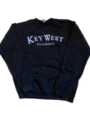 Vintage sweatshirt  - ✅ Vintage Sweatshirt                                                            ✅ Size: small                                                                                           ✅ Condition: 10/10 