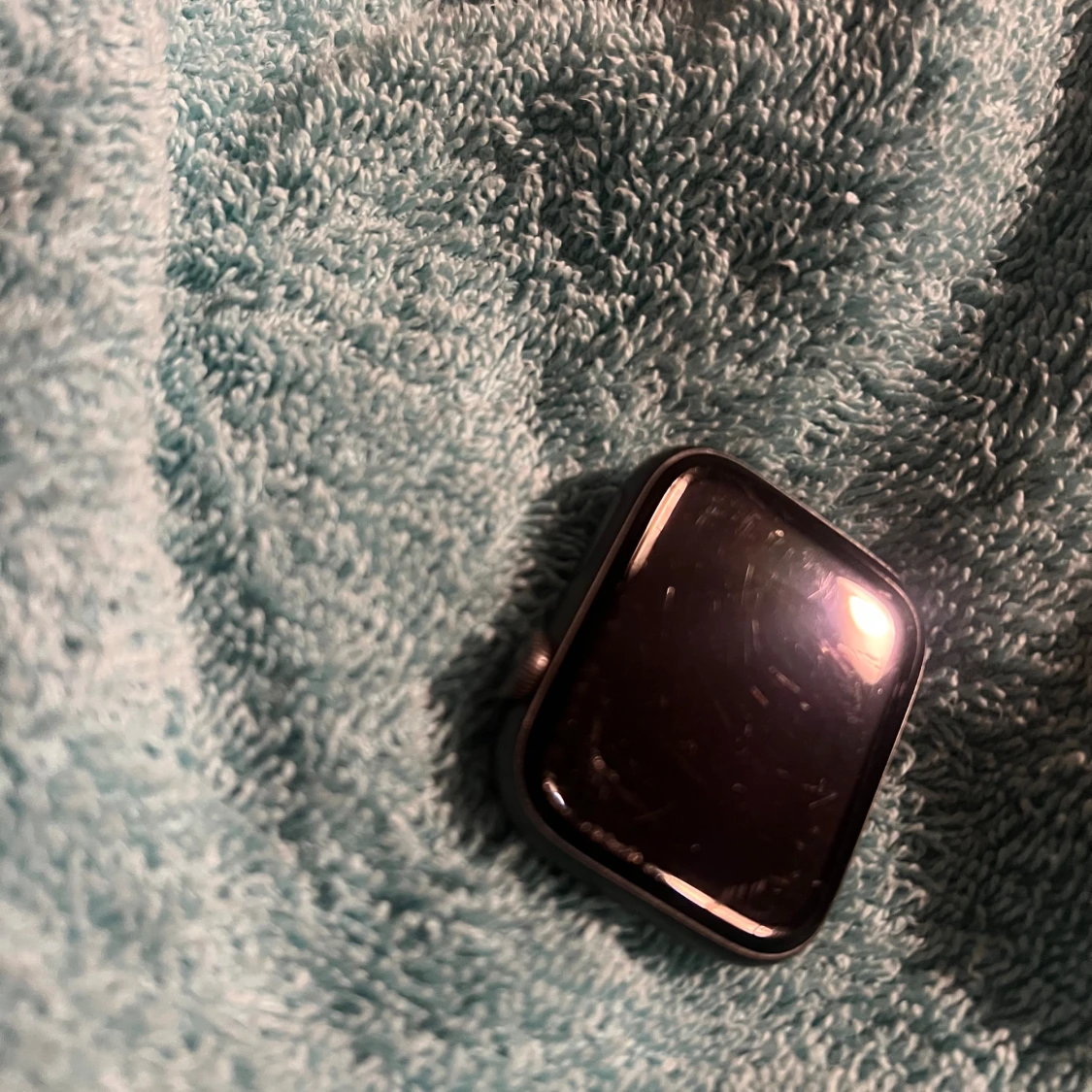 Apple Watch Series 5