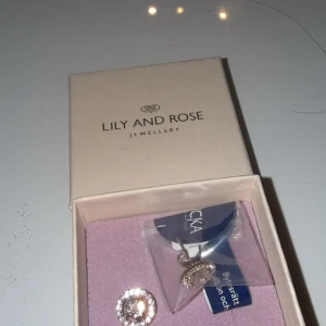 Guldörhängen Miss Miranda från Lily and Rose - Säljer ett par Miss Miranda örhängen från Lily and Rose i färgen Silvershade (Gold). Örhängena är runda med gnistrande stenar i mitten och en ram av små kristaller, allt i guldfärgad metall. Perfekt för att ge din look lite extra bling.