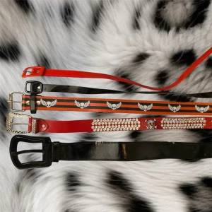 Lite olika bälten - Lite olika bälten i rött och svart❤️ den röda med döskallar och stenar på är köpt ifrån aliexpress och den röda med döskallar är köpt ifrån punktshopp, dom andra kan jag inte märket på tyvärr❤️den stora svarta:107cm lång och första hålet är 83cm, röda med stenar: 110cm lång första hålet vid 73cm, röda svarta med döskallar: 103cm första hålet vid 81cm, lilla svarta: 92cm lång , lilla röda: 104cm lång❤️