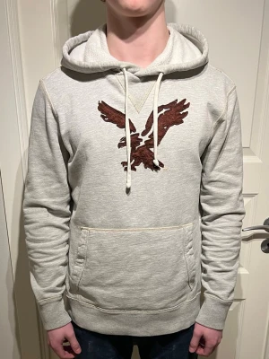 American Eagle Hoodie  - Säljer en skön American eagle hoodie! |Fint skick finns något mindre tecken användning, inga fläckar eller hål! | Storlek M. | Ställ gärna frågor innan du köper!