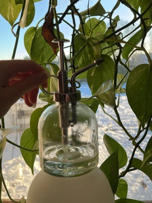 Växt vattnare  - Perfekt växtvattnare att ha nära till hands för växter som behöver bli ”duschade”