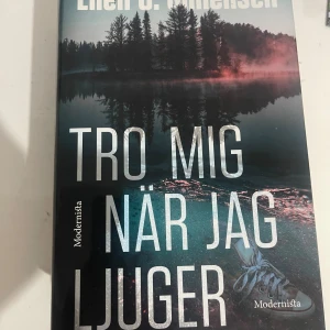 Tro mig när jag ljuger - En bok med ett mystiskt omslag som visar en dimmig sjö och en ensam sko vid vattnet. Perfekt för dig som gillar spännande och mörka berättelser med en gåtfull stämning. Passar unga vuxna som söker något nervkittlande och dramatiskt.
