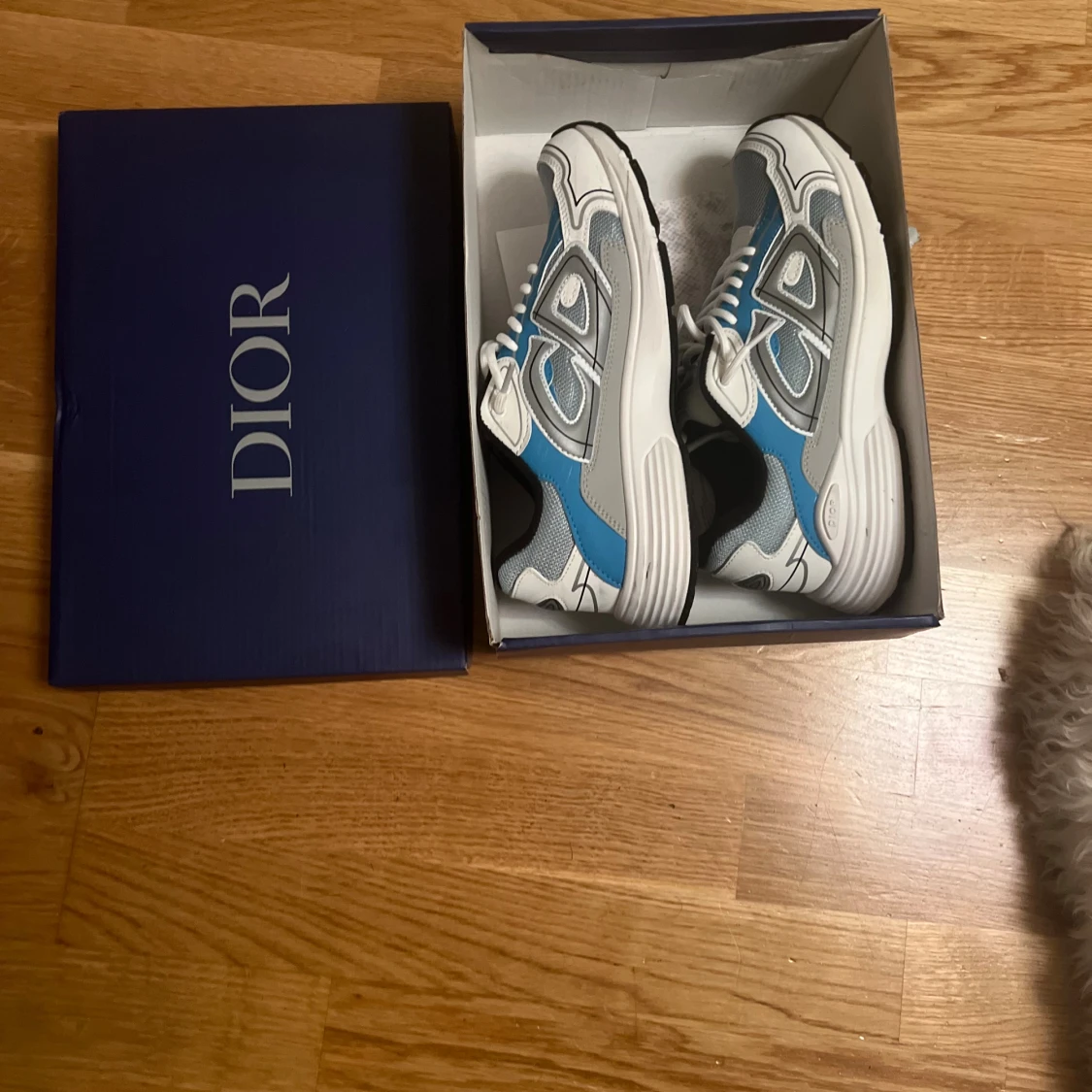 Dior b30 skor 