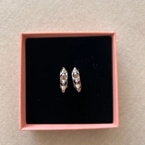 Edblad peak creoles S silver - Använda fåtal gånger. Rengörs innan de skickas :)