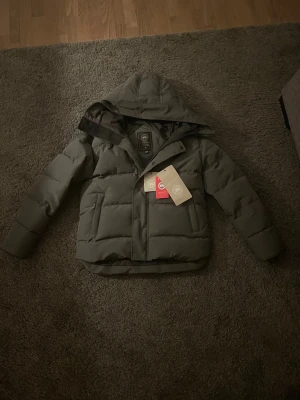 Canada Ghoose jacka  - Hej, Jag säljer min gråa Canada Ghoose jacka med Svart loga perfekt nu till kalla dagar ❄️Bara att höra av sig om man vill se mer bilder eller har någon fråga eller fundering 😊 Snabba svar/snabb frakt 👍