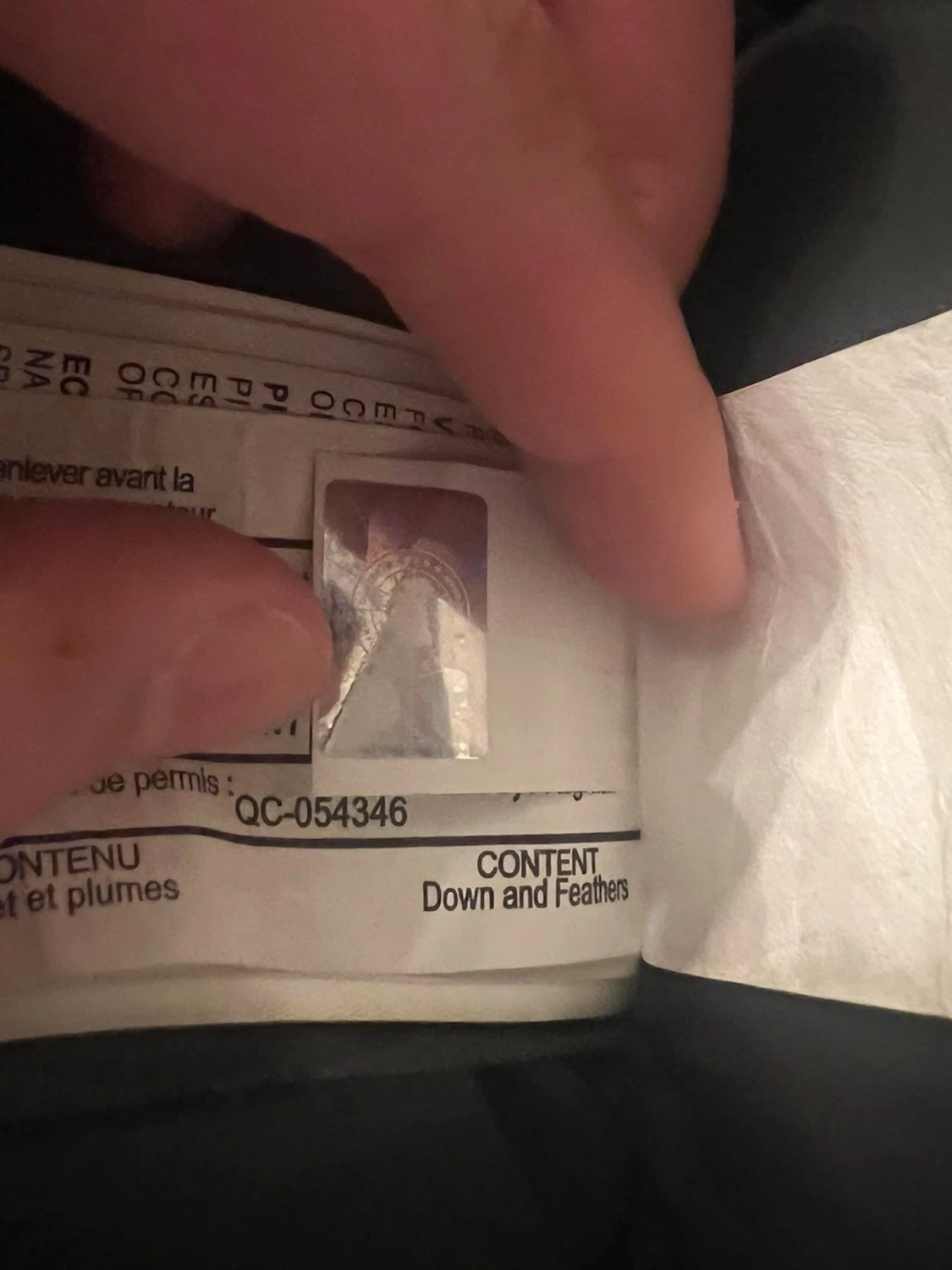 Svart Canada Goose Expedition dunjacka - 3