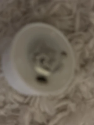 El ljus - Ett ljus man kan tända med en knapp.          Sänk priset om ni vill/ ge förslag 