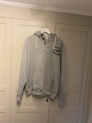 Grå hoodie från hollister  - Säljer denna riktigt snygga och goa vintage hoodie från hollister, riktigt go att gå i hemma med även snygg som du kan ha till vardags, storlek xl men sitter som en xl/large, bara att höra av sig vid frågor eller funderingar😍