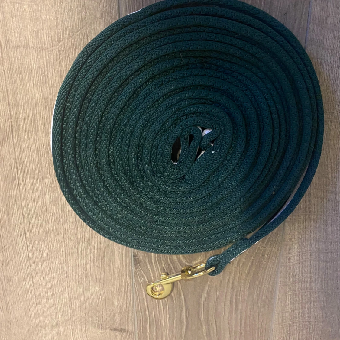 Grimskaft och longeringslina  - 1