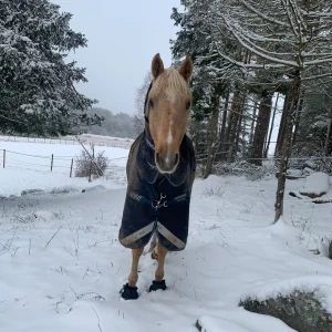 Säljer massa ridsaker  - Säljer allt möjliga ridsaker. Ridskor, ridstövlar, ridhjälm, ridbyxor, ridjackor å allt mera, de finns allt så skriv om ni behöver något
