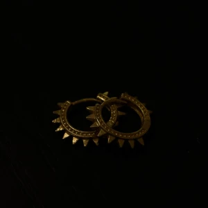 Guldörhängen med nitar - Snygga guldörhängen med coola nitar runt hela ringen. Perfekta för att ge din outfit en edgy touch. Passar både till vardags och fest!