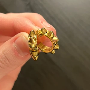 Guldörhängen med nitar Edblad  - Snygga guldörhängen med nitar i en cirkulär design från Edblad. Perfekta för att ge en edgy touch till din stil. De är små och lätta, vilket gör dem bekväma att bära hela dagen.