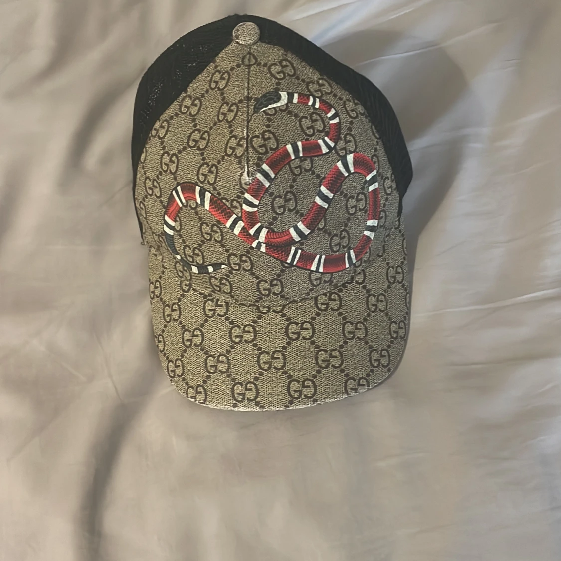 Gucci snake keps