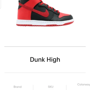 Nike Dunk  - Nike dunks jpack från 2012 om jag inte har fel Skorna är i bra skick trots åren