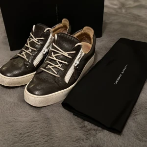 Giuseppe Zanotti skor - Mörk bruna Giuseppe Zanotti skor i skinn i storlek 44,5 i bra skick. Priset kan diskuteras.