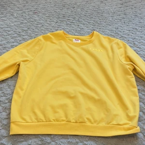 Levis tröja - Levis tröja i fint skick