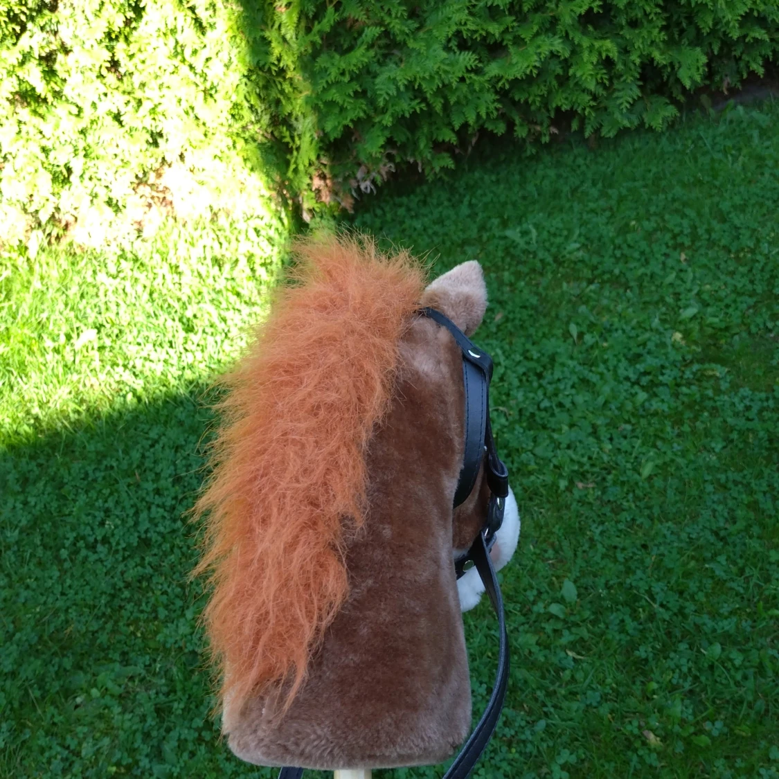 Fin käspphäst - 91