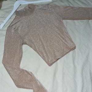 Glittrig turtleneck långärmad topp🎀 - Snygg glittrig smått genomskinlig topp!💞 Nästan helt oanvänd, väldigt fin men kommer tyvärr aldrig till användning 🎀 Pris går att diskutera