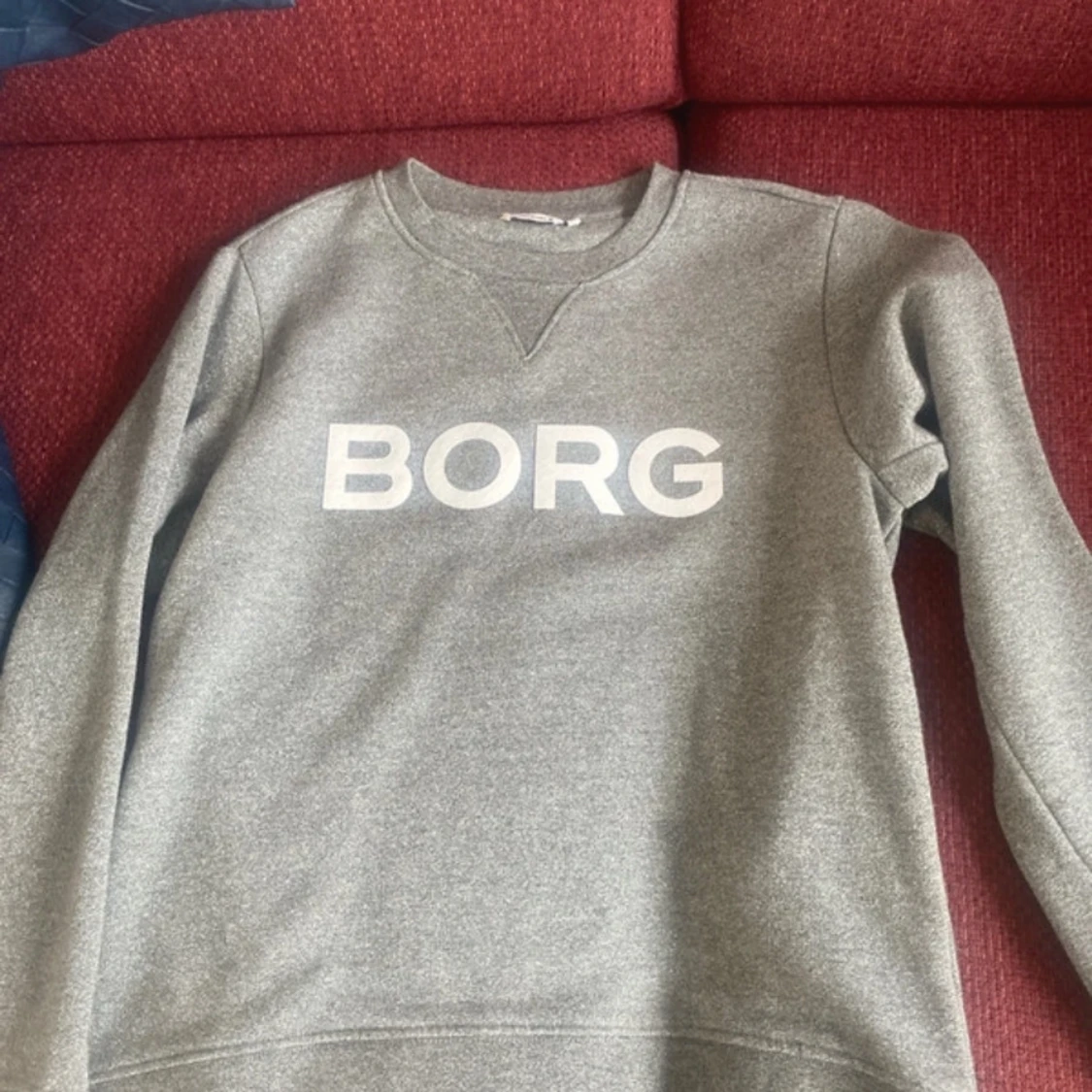 Grå sweatshirt från BORG - 1