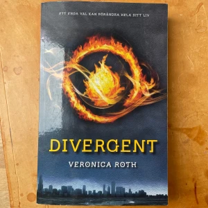 Divergent - Divergent av Veronica Roth, fint skick, pyttelite missfärgning på kanten (se bild 2 ⬆️). Säljer pga, det blev aldrig av att jag läste den!<3 