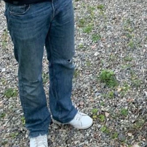 Levis 501 - Snygga 501or med hål över knäna och fransade ner till. 