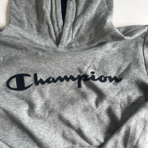 Champion hoddie!! - Säljer denna super snygga champion hoddie, pga att den ej kommer till användning. Hoddien är i väldigt bra skick, knappt använd. Skriv om ni har några frågor, pris kan diskuteras!💞