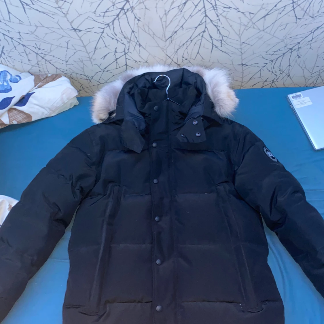 Canada goose Wyndham