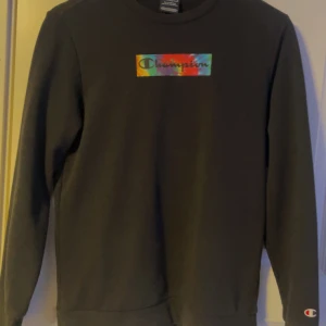Svart tröja från Champion - Säljer en knappt använd svart tröja från Champion med färgglad logga på bröstet. Tröjan har långa ärmar och en klassisk rund halsringning. Perfekt för en avslappnad stil. 