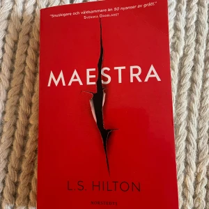 Maestra - Boken 'Maestra' av L.S