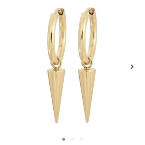 Edblad örhängen - Örhängen från Edblad i guld. Har använts men är i bra skick förutom att spännet på ena örhänget är lite trögt. Box finns.