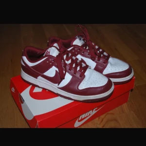 Nike Dunk Team Red - köpta på Hypestein 2022 för 2700kr knappt använda dom är som i nyskick