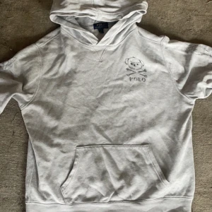 Grå hoodie från Ralph Lauren - Säljer en grå hoodie från Ralph Lauren, ganska så unik och väldigt snygg, hör av er vid fler frågor!