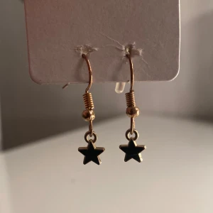 Örhängen  - Ett par fina stjärn örhängen. Säljer för att jag inte använder dom och använder silver💕