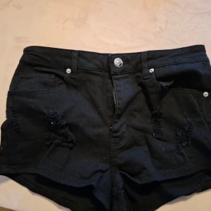 Shorts  - Nyskick