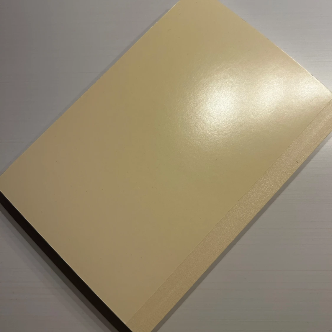 Hobonichi Cousin 2025 - 92